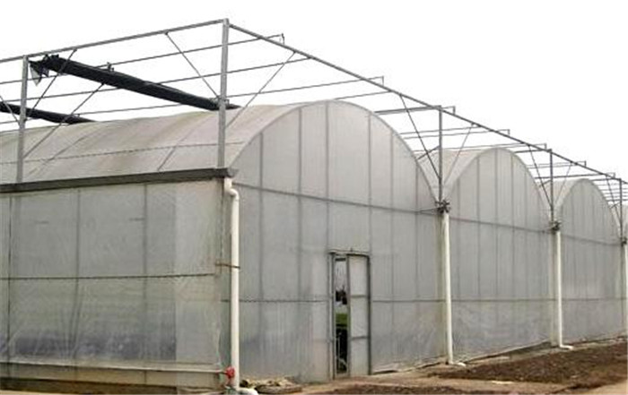 貴州蔬菜大棚 江西大棚鋼管廠 云南大棚廠家 連體大棚 連棟大棚