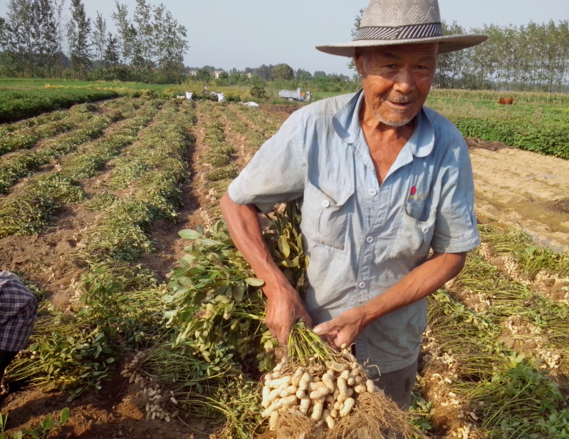 供應(yīng)液態(tài)地膜生物降解地膜多功能微生物全降解液體農(nóng)膜增溫保墑除草抑菌廠(chǎng)家直銷(xiāo)