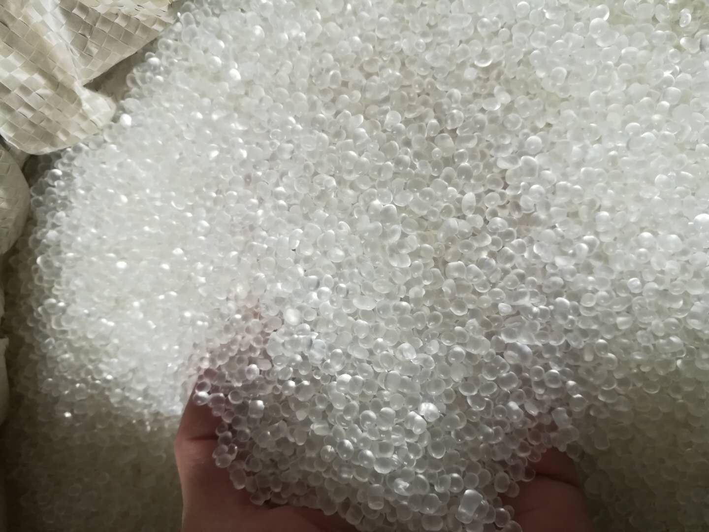 科騰SEBS1726副牌