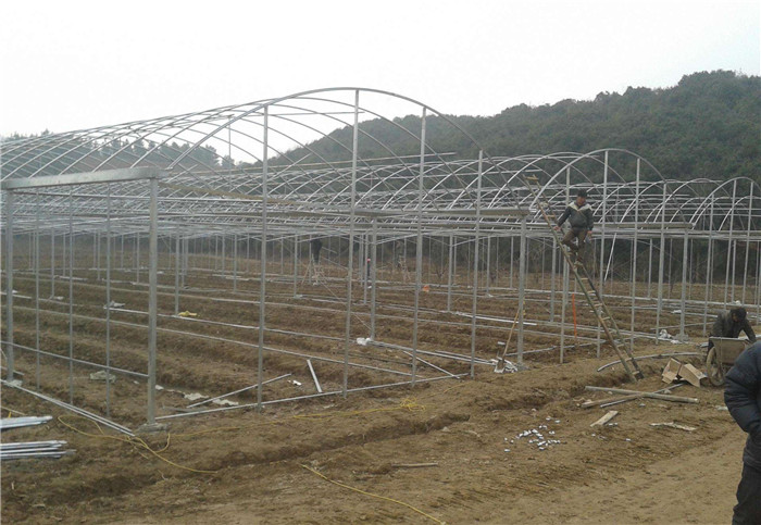 蔬菜大棚廠家 蔬菜大棚價格 連體大棚 溫室大棚