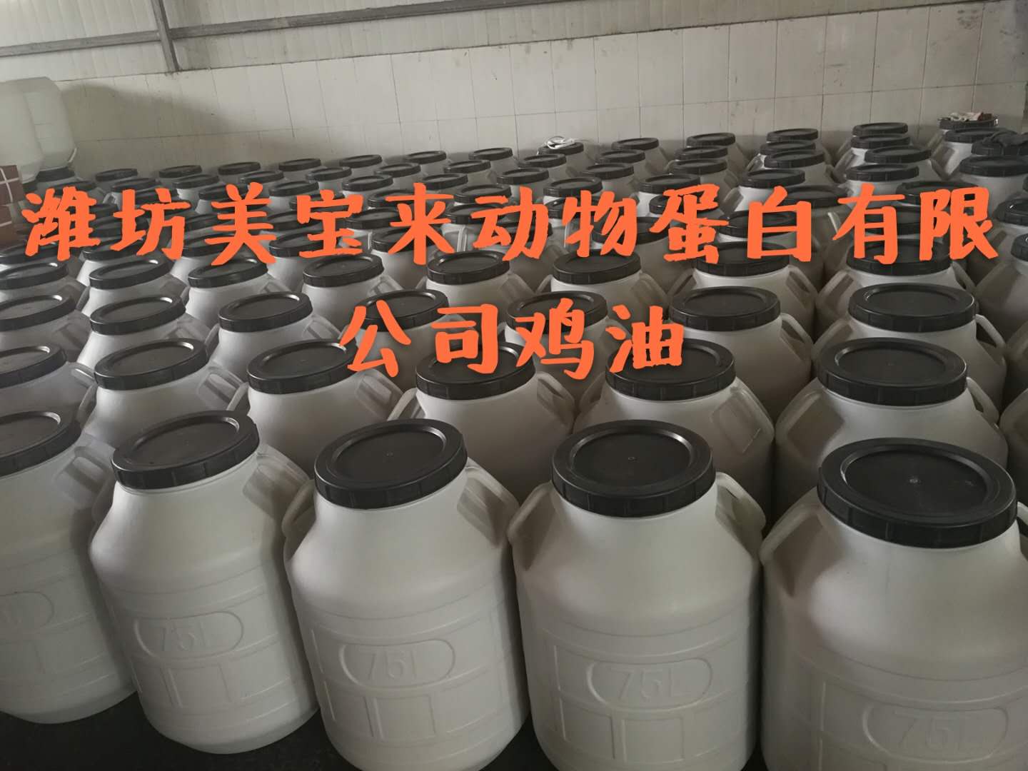 濰坊美寶來寵物*雞油