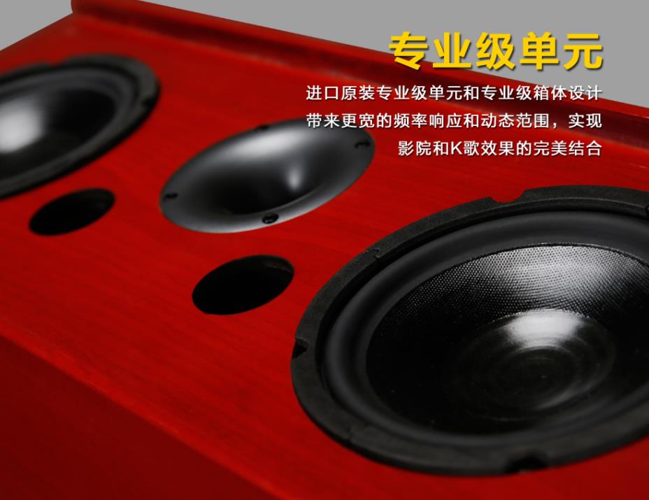 眾聲DPZ影K音響 影院音響 濟 眾聲DPZ影K影院音響虎達