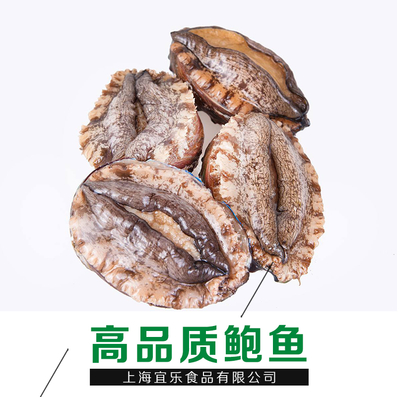 上海鮑魚廠家批發(fā)價格