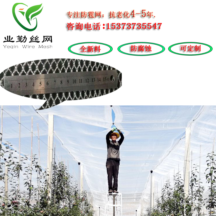廠家直銷果園防雹網(wǎng) 全新抗老化料透光率強網(wǎng)孔5mm防雹網(wǎng)市場價格