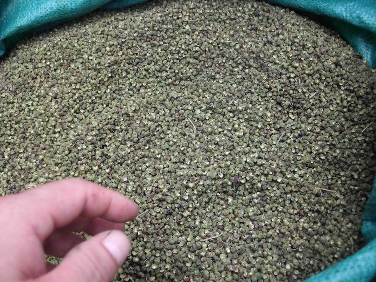 批發(fā)永善縣特級(jí)青花椒       批發(fā)永善縣特級(jí)青花椒