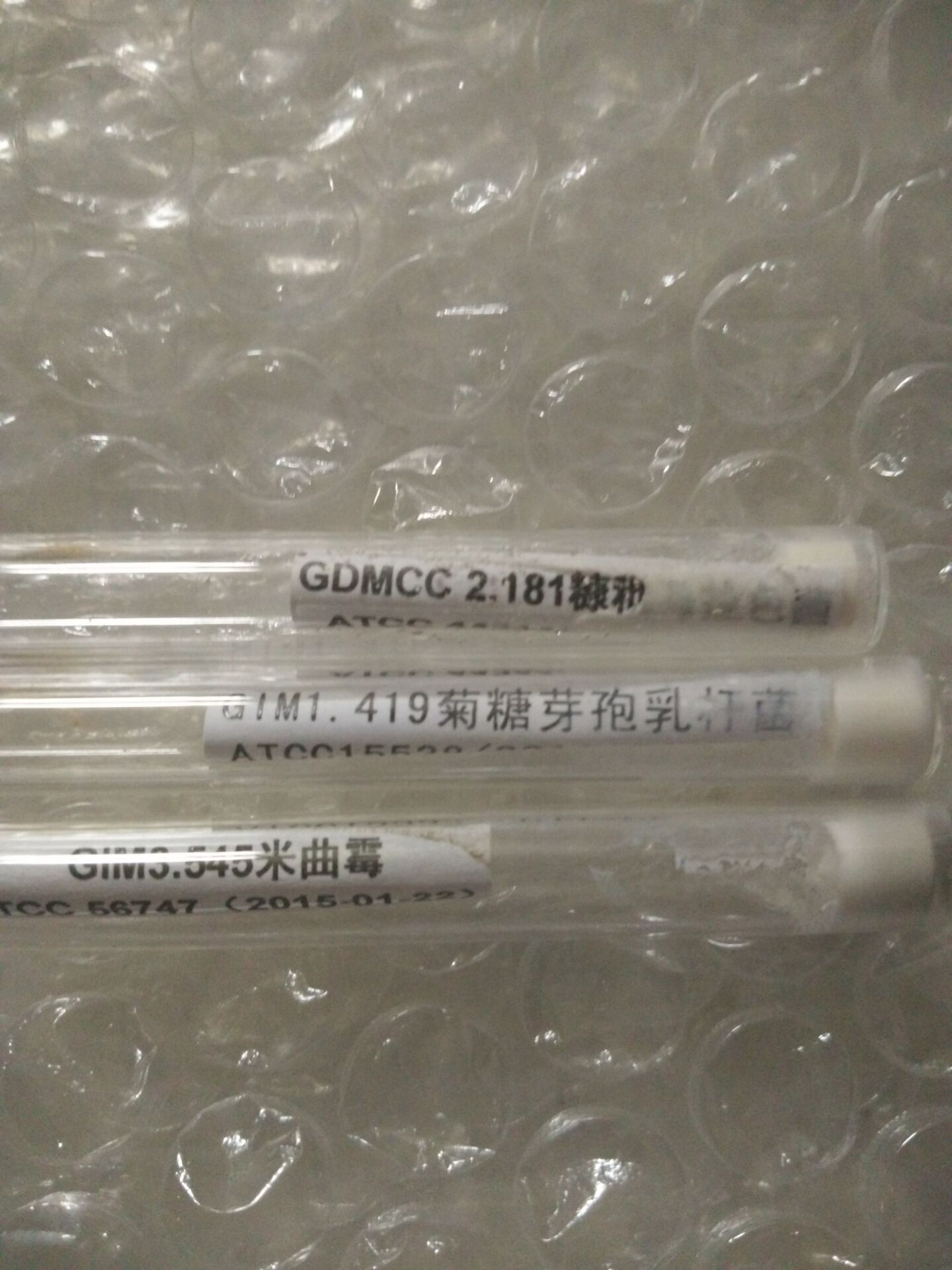 ATCC菌種 凝結(jié)芽孢桿菌Bacillus coagulans ATCC中文官網(wǎng) BIOBW生物