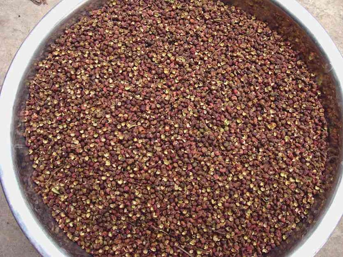 紅花椒一級價格 云南紅花椒報價 云南紅花椒批發(fā) 云南紅花椒哪家好 云南紅花椒供應商