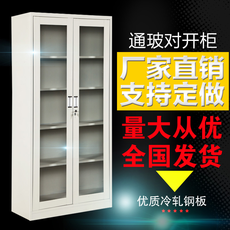 文件柜鐵皮柜資料柜中二斗器械柜廠