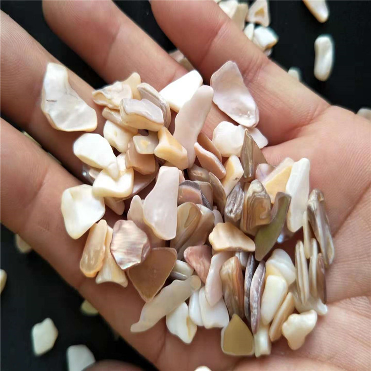 工廠特價銷售貝殼 美甲*貝殼片 天然不規(guī)則貝殼碎片