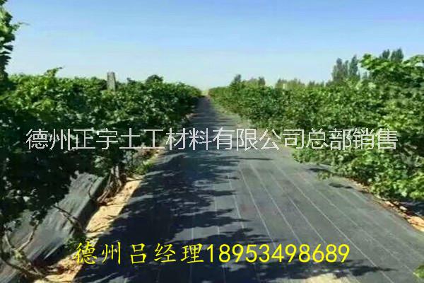 山東100g防草布廠家，防草布價(jià)格，一畝地用多少防草布，一平方防草布多少錢？