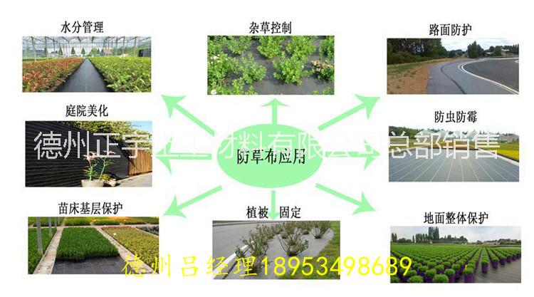 山東100g防草布廠家，防草布價(jià)格，一畝地用多少防草布，一平方防草布多少錢？