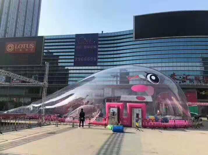 2018鯨魚島租賃鯨魚島出租 2019鯨魚島租賃鯨魚島出租 2019鯨魚島租賃 鯨魚島出租