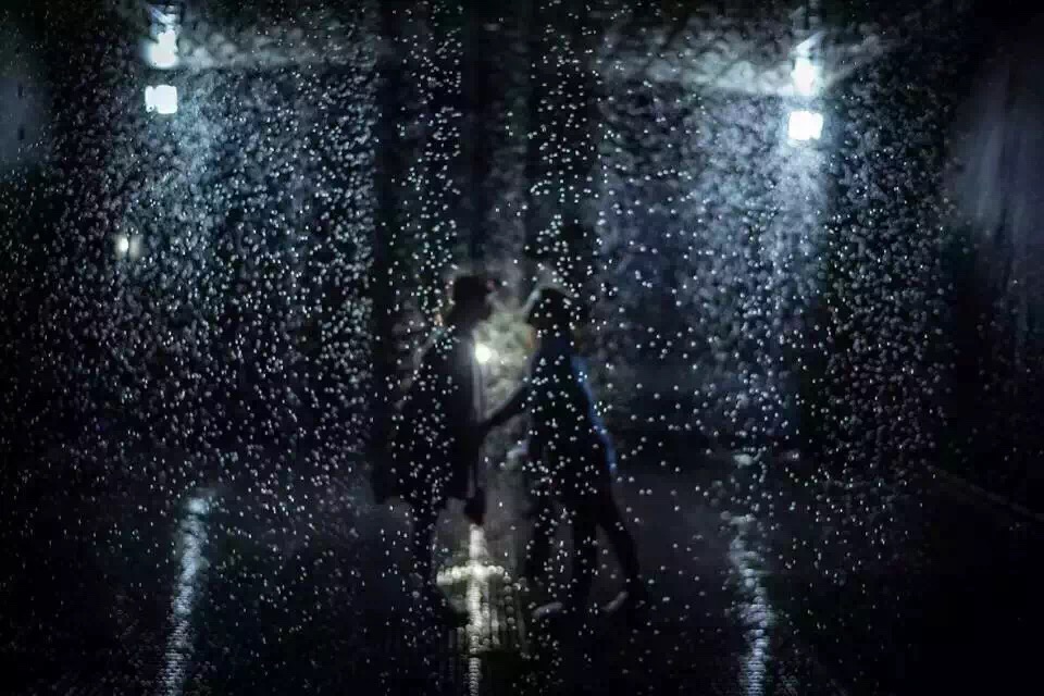 浪漫雨屋出租 雨屋出租價(jià)格 夢(mèng)幻雨屋出租出售 機(jī)械大象租賃 暖場(chǎng)道具雨屋出租