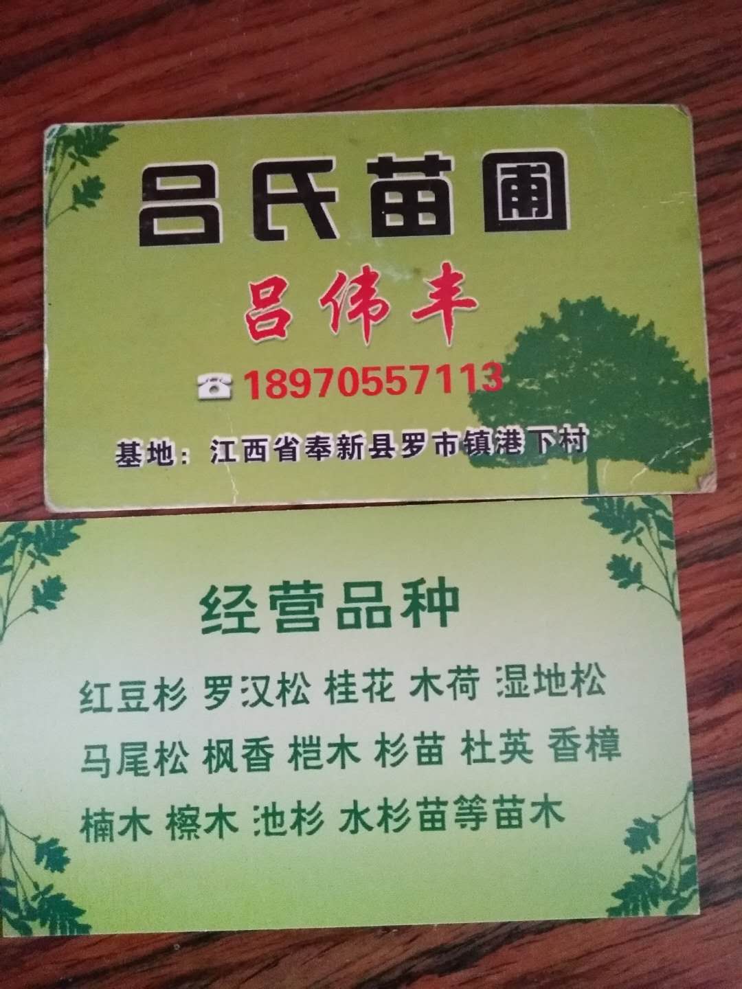 江西擦木苗供銷商 全國供應(yīng)擦木苗 直銷擦木苗 出售擦木苗 擦木苗供應(yīng)商 供應(yīng)擦木苗 擦木苗報價 擦木苗哪家好
