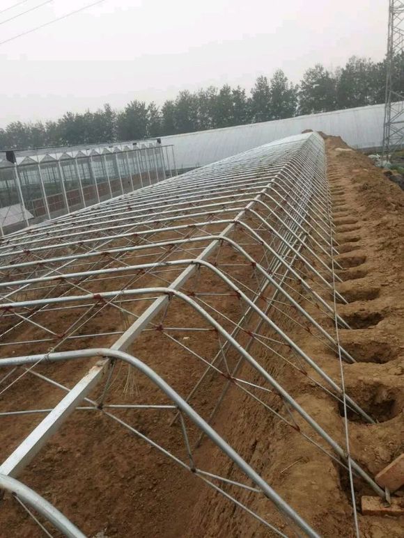 節(jié)能日光溫室造價(jià) 節(jié)能日光溫室廠家