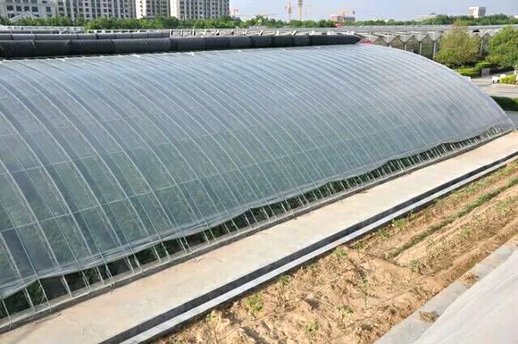 日光溫室 山東日光溫室 溫室大棚