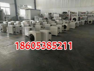 煤礦井口*電暖風機，D型暖風機廠家 型號參數(shù)