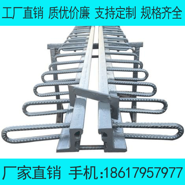 有關(guān)TST橋梁無縫伸縮縫還有哪些