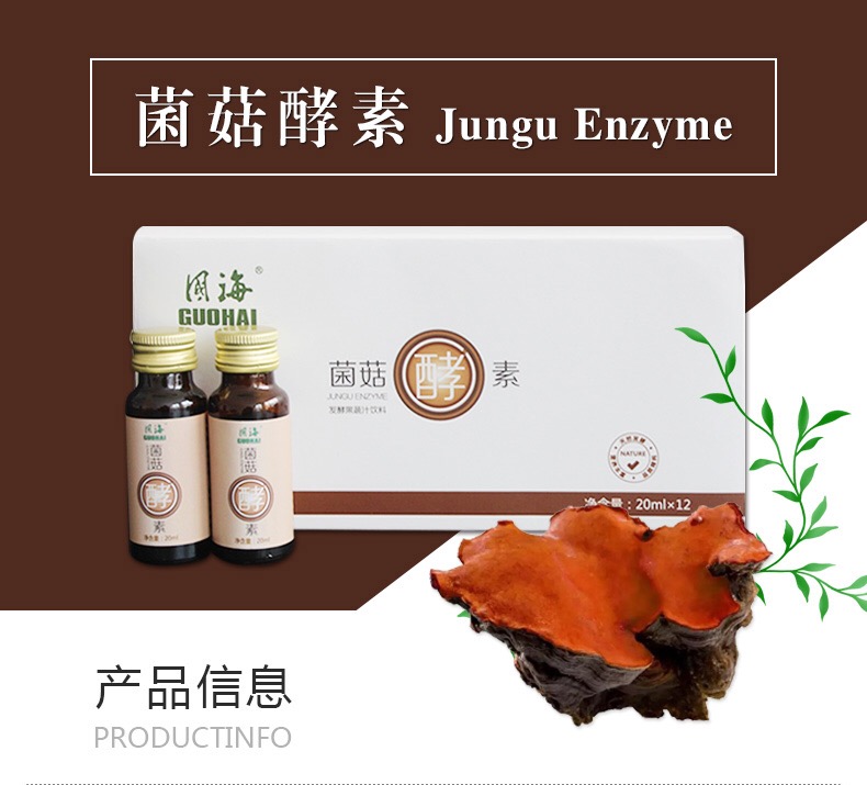 牛樟芝 牛樟芝酵素批發(fā)、OEM