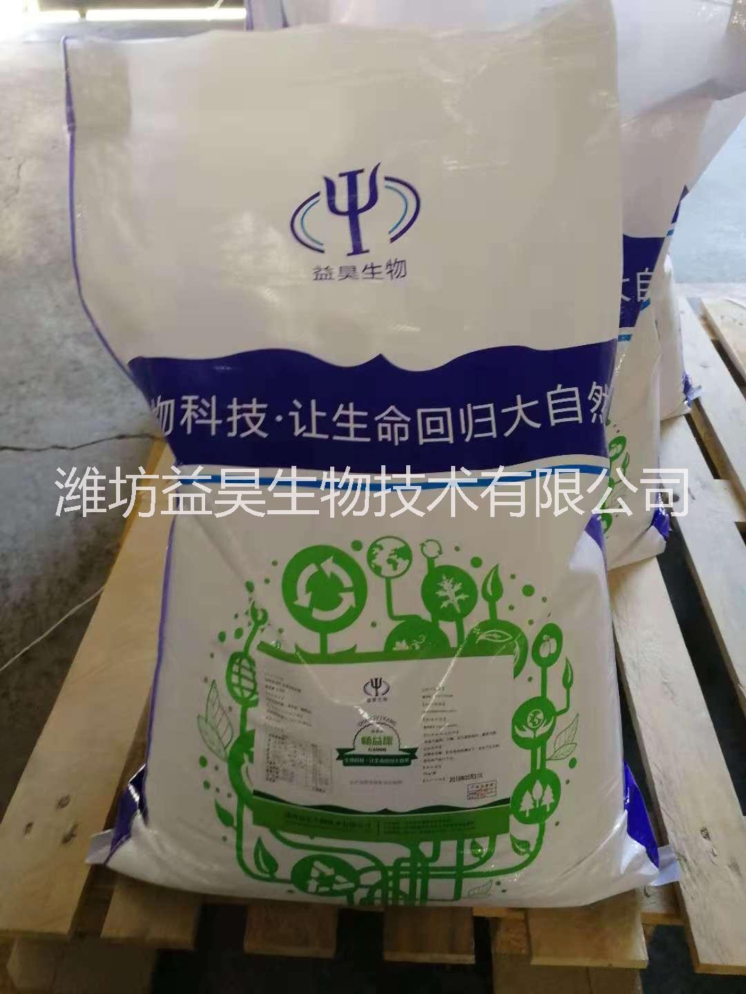 山東乳酸菌廠家