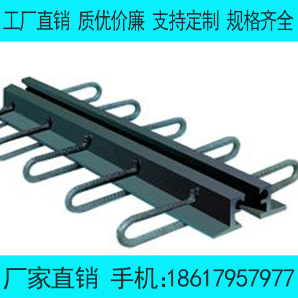 有關(guān)TST橋梁無縫伸縮縫還有哪些