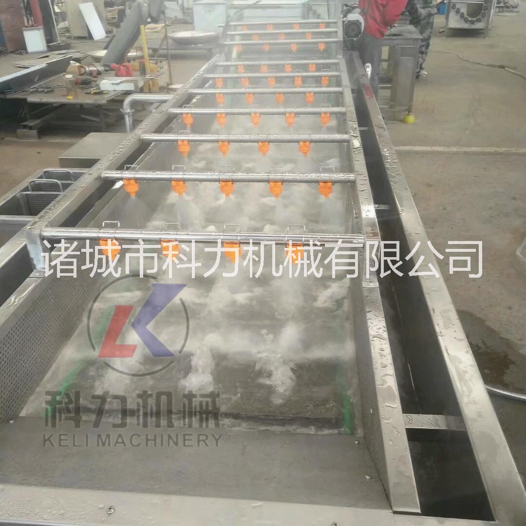 自動水果蔬菜氣泡清洗機多少錢