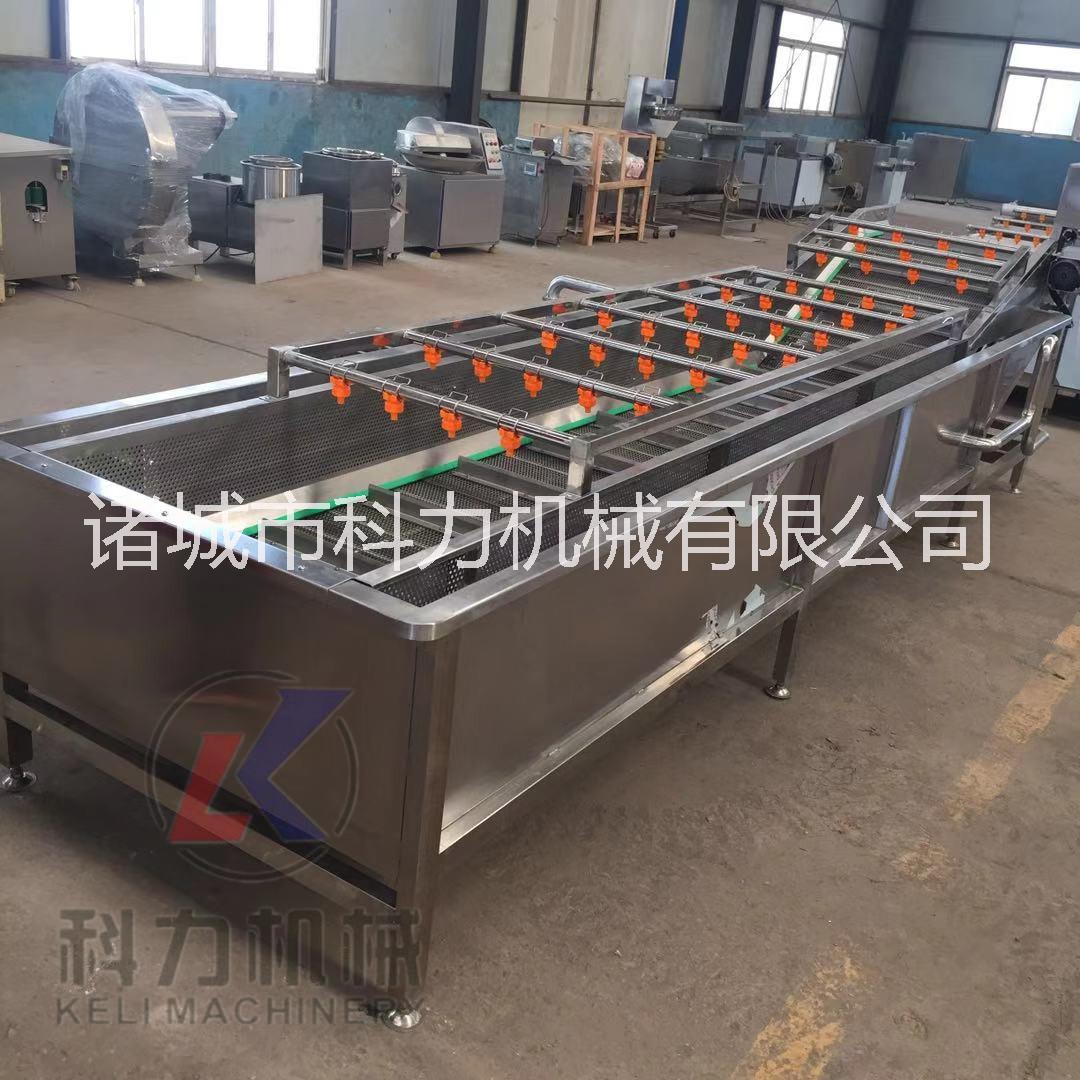 自動水果蔬菜氣泡清洗機多少錢