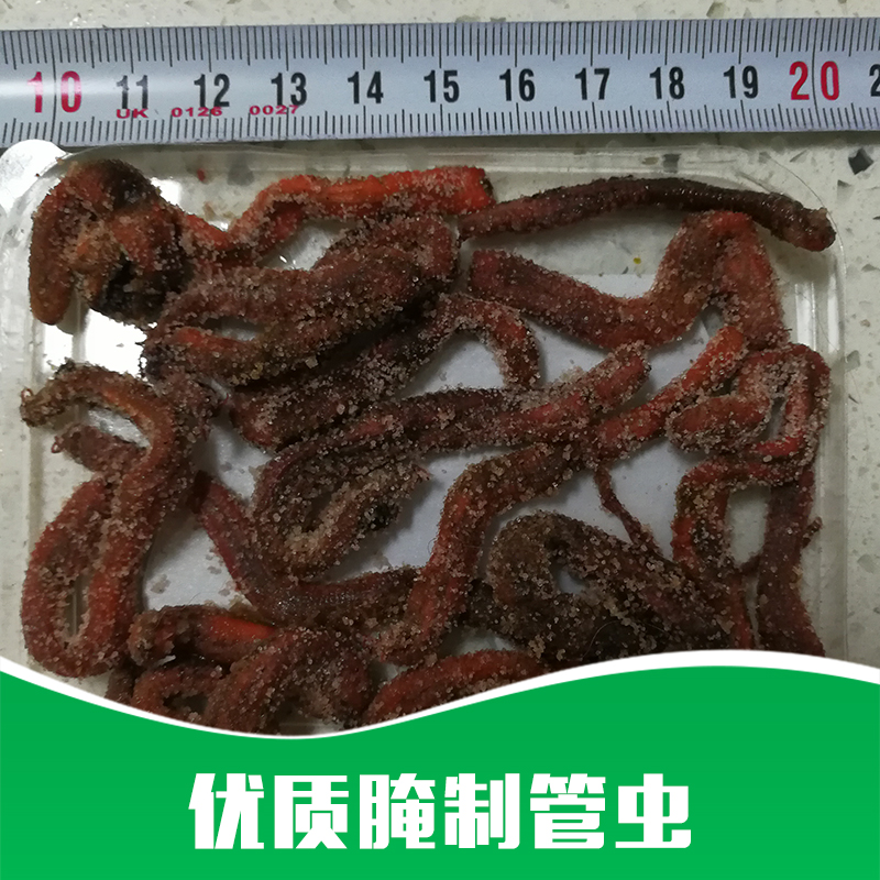 腌制管蟲 優(yōu)質(zhì)腌制管蟲 腌制管蟲的價(jià)格 腌制管蟲公司 腌制管蟲批發(fā)商 廠家直銷 品質(zhì)保障