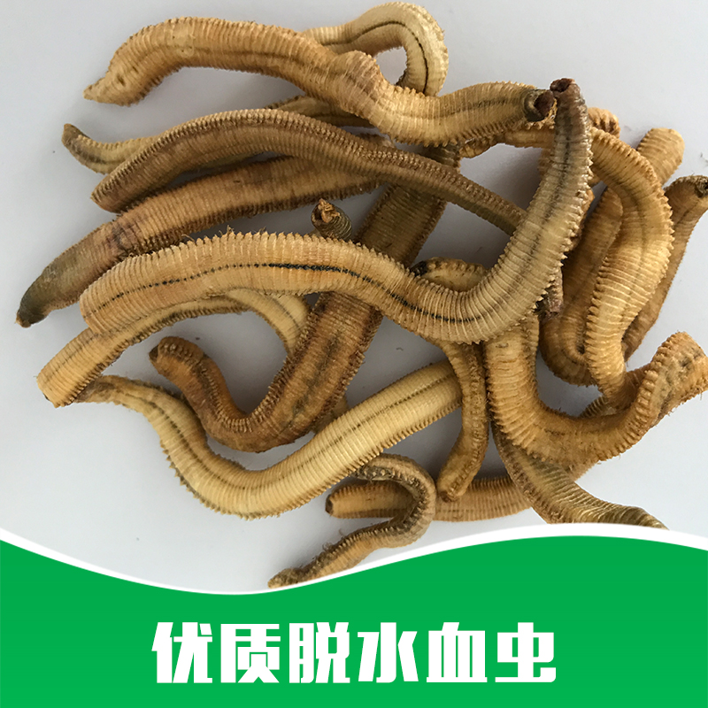 脫水血蟲批發(fā) 優(yōu)質(zhì)脫水血蟲 脫水血蟲方法 脫水血蟲批發(fā)商 脫水血蟲的價格 廠家直銷 品質(zhì)保障