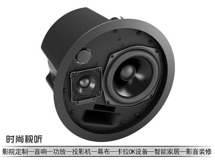 博士 bose ds 100f 吸頂喇叭音箱 BOSE DS100F 天花音響