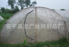 結(jié)實*結(jié)實*養(yǎng)殖網(wǎng)