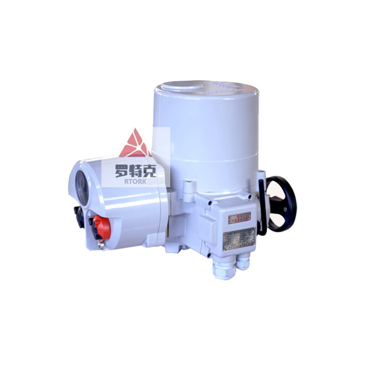 羅托克電動執(zhí)行器IA18
