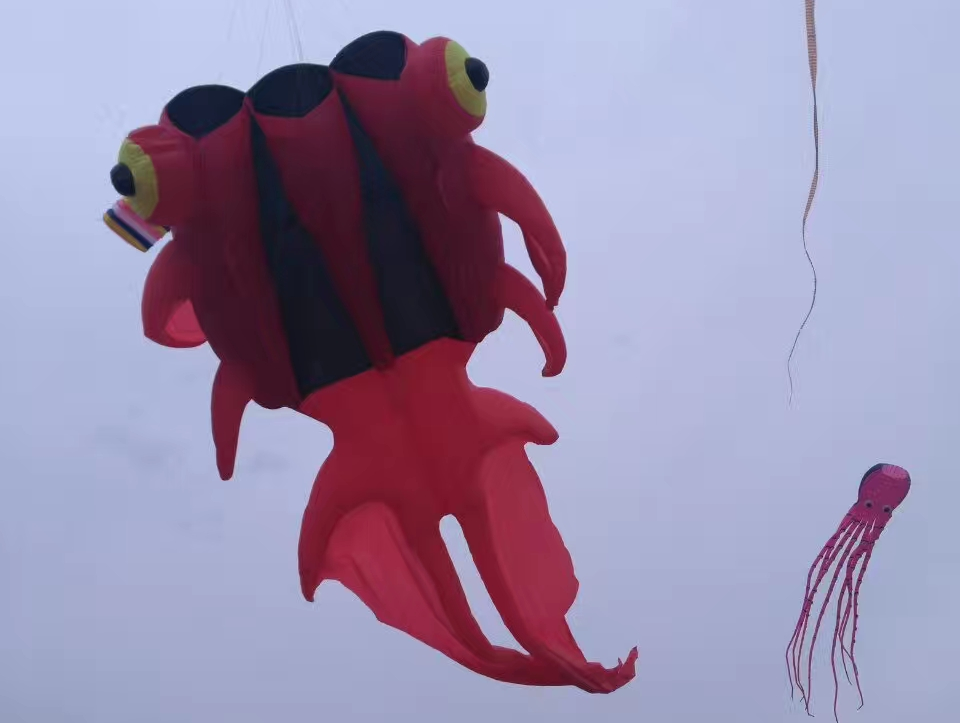 西安風(fēng)箏批發(fā)。西安風(fēng)箏價(jià)格