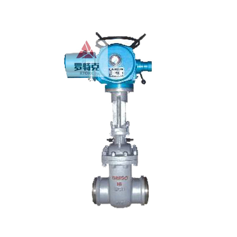 電動法蘭閘閥Z941H-10P DN100