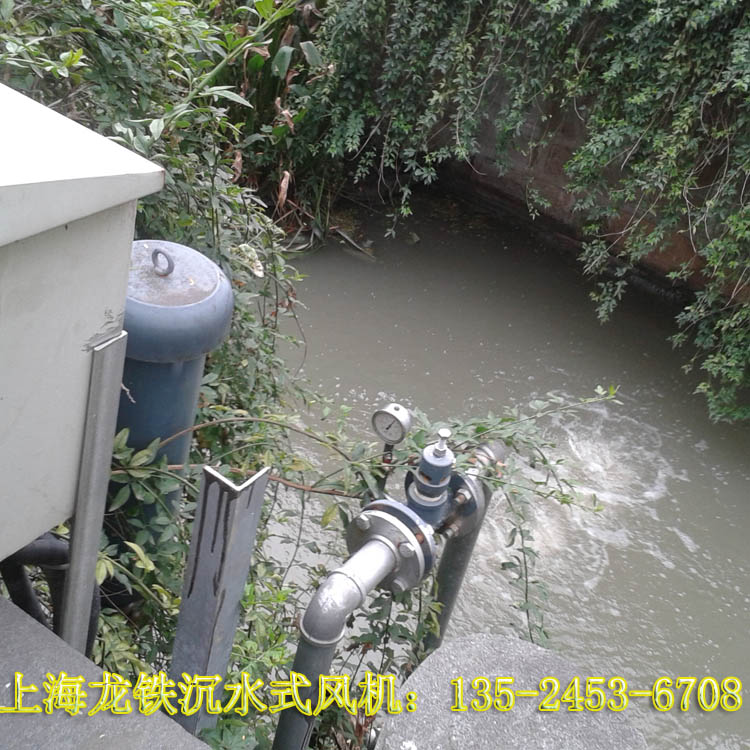 *污水處理沉水式鼓風(fēng)機LTW-6537 水下風(fēng)機 質(zhì)保18個月