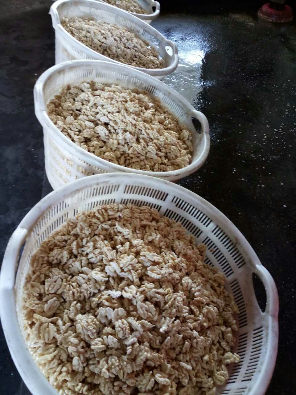 老樹核桃仁急求銷售，個大仁飽，生鮮核桃仁