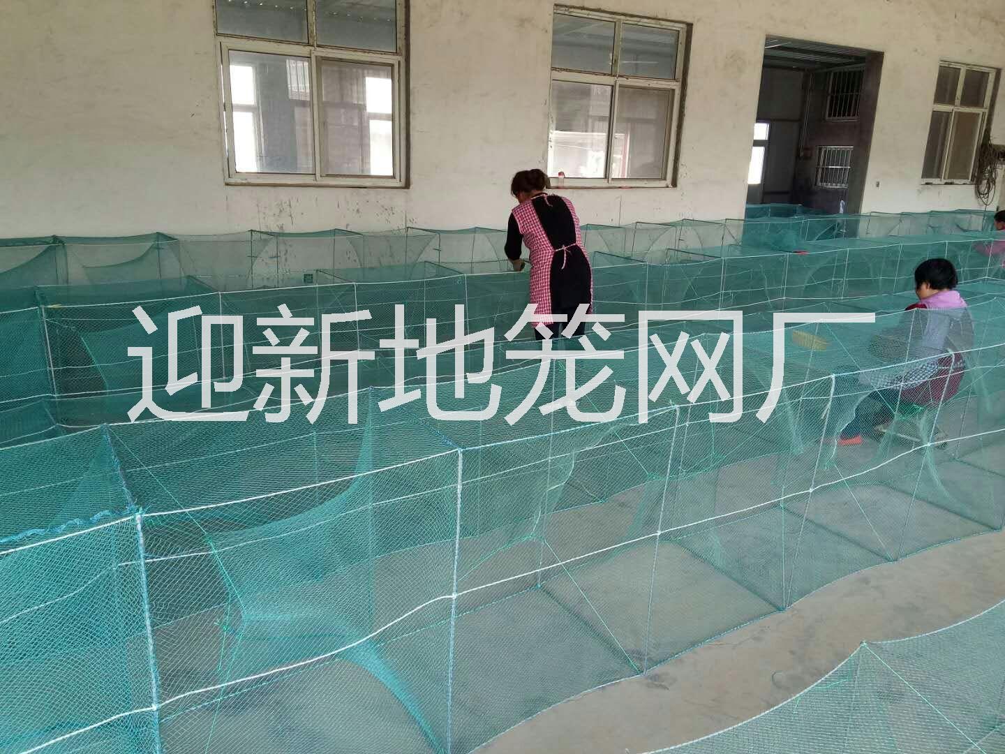 40乘60大型地籠網(wǎng)生產(chǎn)廠家