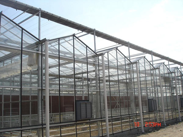 鑫易通玻璃溫室大棚骨架生產廠家 玻璃溫室大棚骨架
