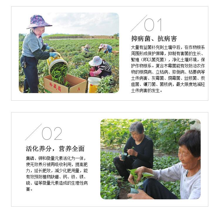 復(fù)合木霉菌 防蟲防病改善重茬