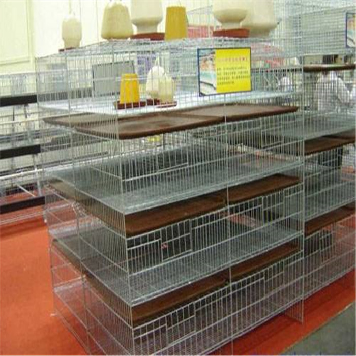 加粗加密立式4層8籠位鍍鋅雛雞籠