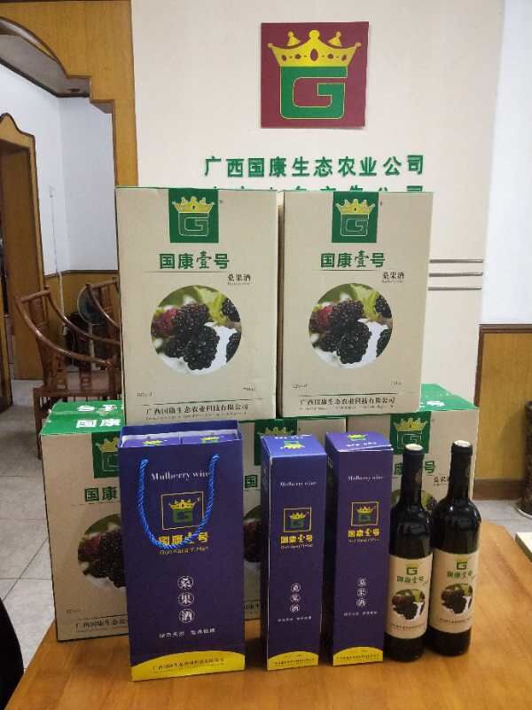 廣西哪里有桑果酒批發(fā)-廣西國康壹號桑果酒招商熱線/廠家批發(fā)價格