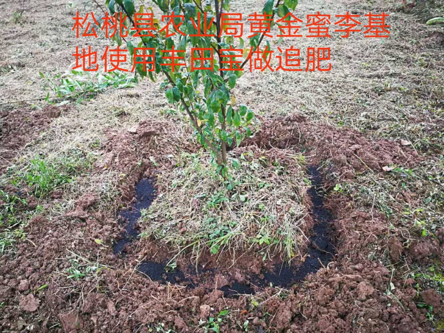 湖南農(nóng)作物肥料，湖南有機(jī)肥廠家批發(fā)，湖南農(nóng)作物肥料供應(yīng)商，湖南有機(jī)肥廠家報(bào)價(jià)