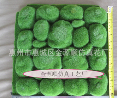 植物墻青苔草植物墻青苔草生產(chǎn)廠(chǎng)家 植物墻青苔草哪家好 植物墻青苔草供應(yīng)商 植物墻青苔草批發(fā)