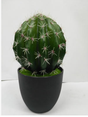 仿真仙人球 仿真仙人球報價 仿真仙人球哪家好 仿真仙人球供應商 仿真仙人球批發(fā)