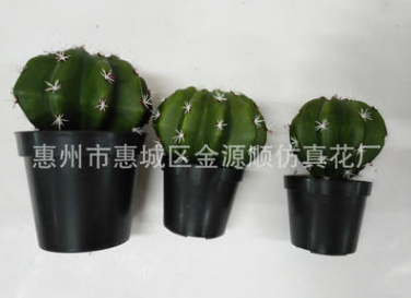 仿真盆 仿真盆栽生產(chǎn)廠家 仿真盆栽哪家 仿真盆栽供應(yīng)商 仿真盆栽批發(fā)