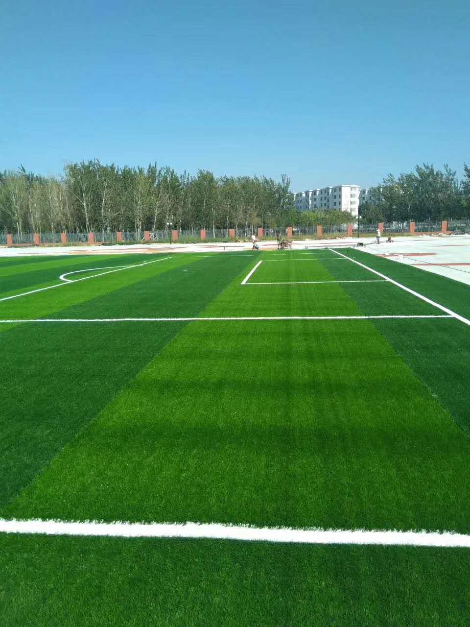 山東人造草坪足球場 山東德州人造草坪足球場