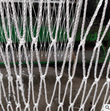 白色尼龍安全網(wǎng) 白色尼龍安全網(wǎng)生產(chǎn)廠家 白色尼龍安全網(wǎng)哪家好 白色尼龍安全網(wǎng)供應(yīng)商