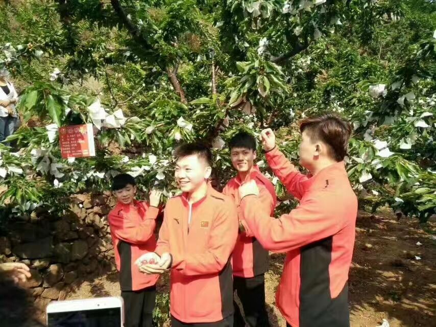 四川車?yán)遄用?四川資陽(yáng)車?yán)遄用缁?廠家報(bào)價(jià)供應(yīng)商