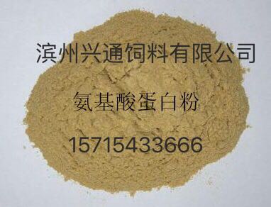 山東濱州供應(yīng)氨基酸蛋白飼料廠家
