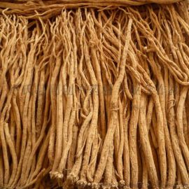 黨參種子 黨參種子報(bào)價(jià) 黨參種子批發(fā) 河南黨參種子